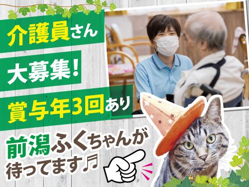 有限会社メルシーの求人・転職情報