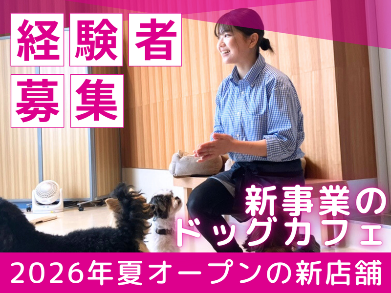 株式会社MOFFの求人・転職情報