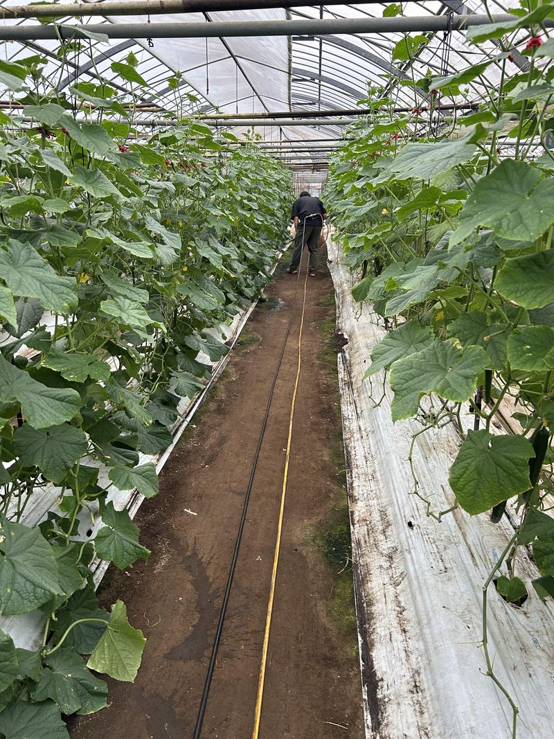 勤務地・面接地のアルバイト・バイト求人情報-02