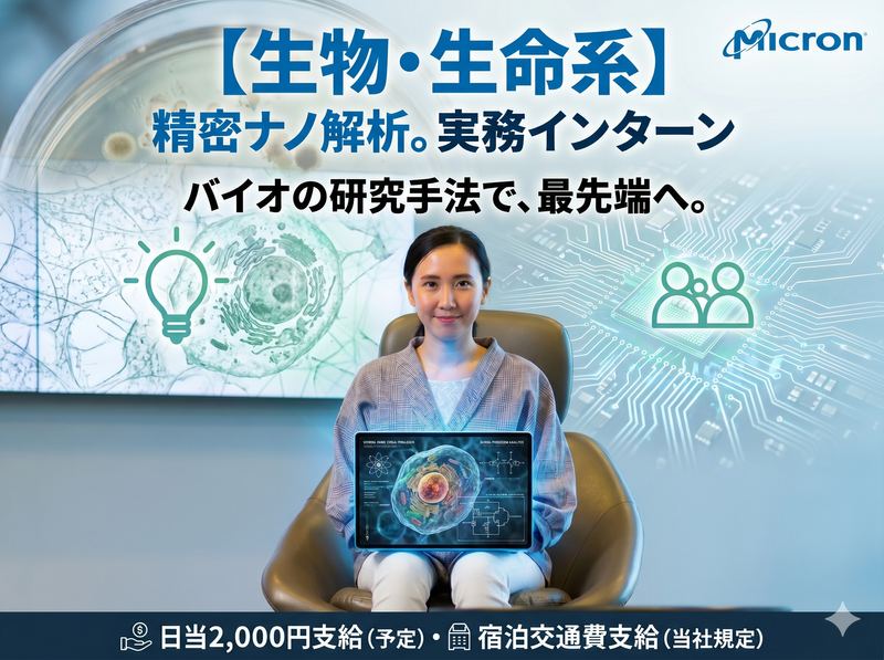 研究開発業務|ナノ材料解析|半導体エンジニアインターン