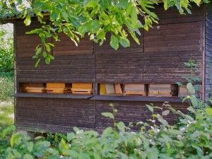 株式会社モリマインドのアルバイト・バイト求人情報-04