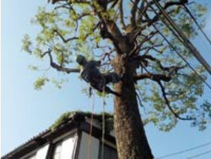 蘆花園植木株式会社-0001の求人・転職情報