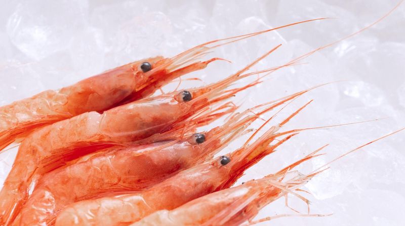 株式会社エスエスパートナー