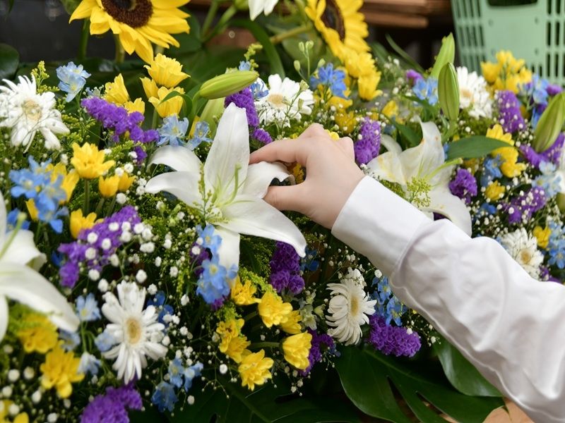 株式会社メモリアの求人・転職情報