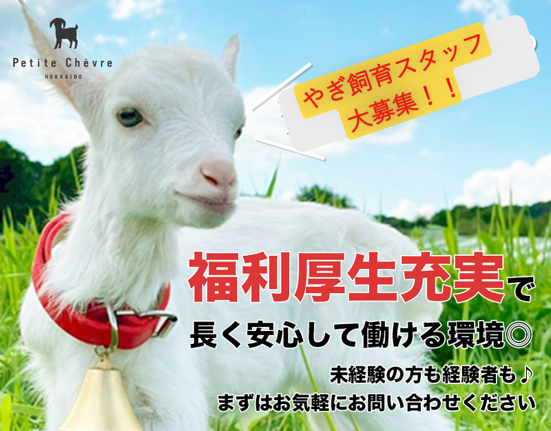 弘安倉庫株式会社の求人・転職情報