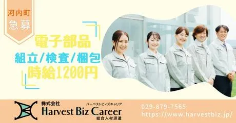 株式会社Harvest Biz Careerのアルバイト・バイト求人情報
