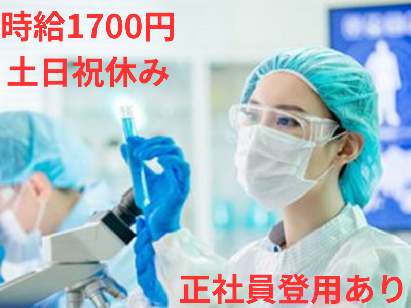 ＣａｒｅｅｒＯＮＥ株式会社-0004の求人・転職情報