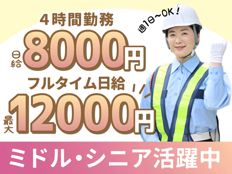 株式会社セーフティECO
