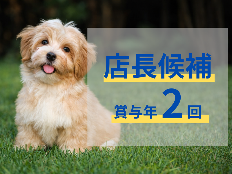 合同会社Ｉ　Ｗａｎの求人・転職情報