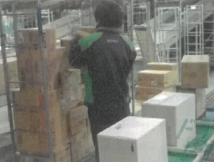 北海道RDCの求人情報
