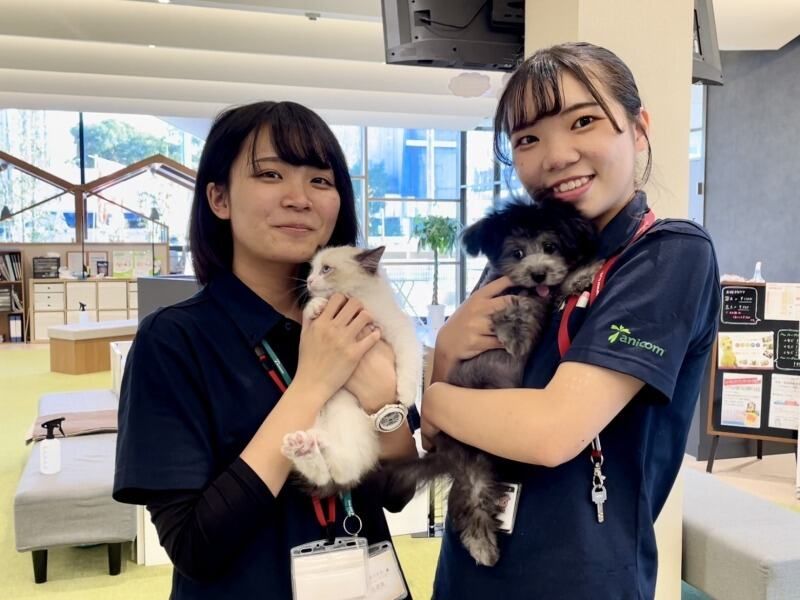 株式会社犬の家の求人・転職情報