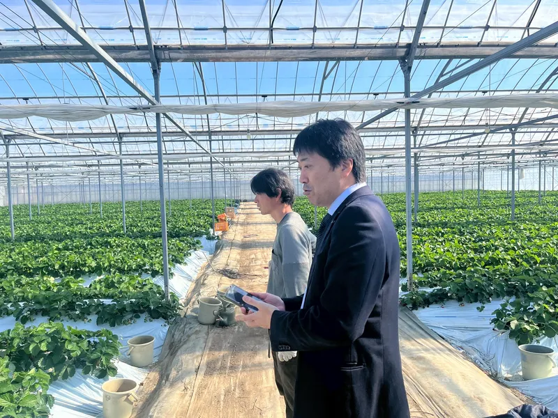 シティ青果成田市場株式会社の求人・転職情報