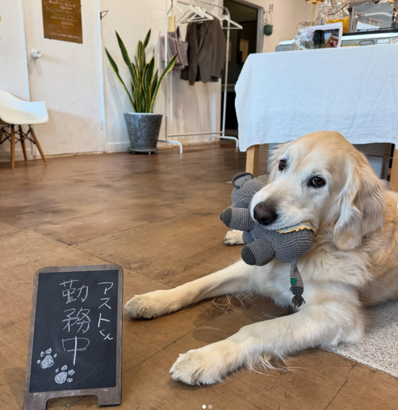 カフェのアルバイト・バイト求人情報-03