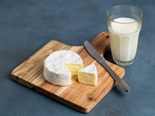 フィールドサーブジャパン 営業第1グループの派遣求人情報