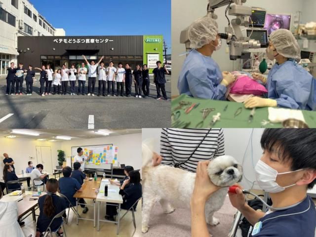 株式会社イオンペット-0014の求人・転職情報