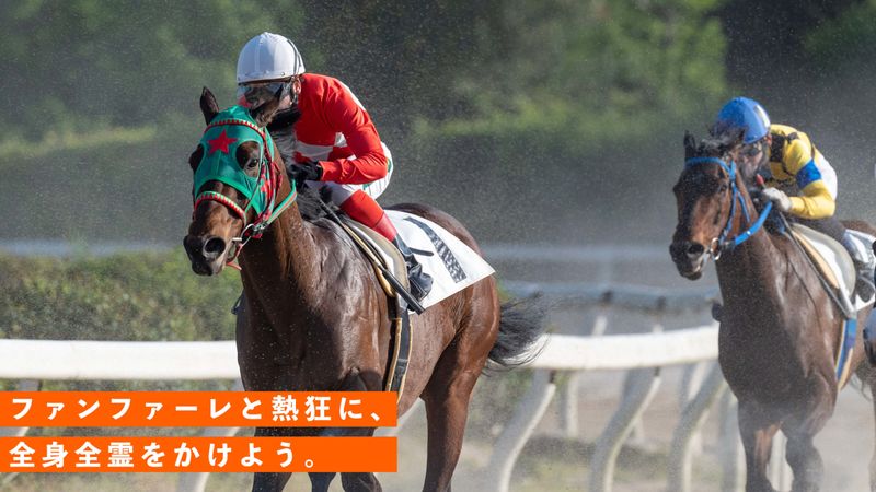 株式会社森本スティーブルの求人・転職情報