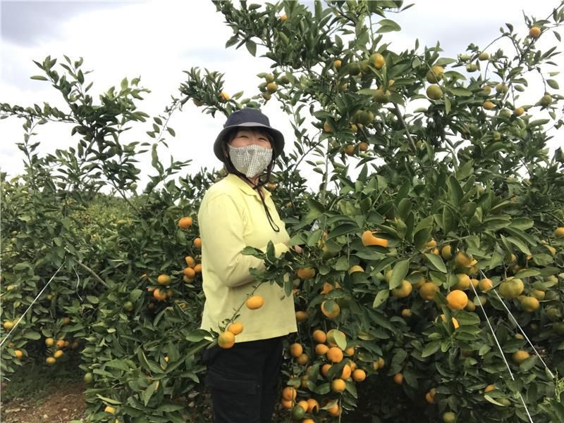 まるや農園のアルバイト・バイト求人情報-03