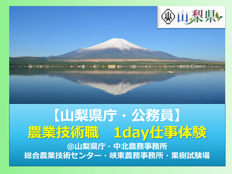 【山梨県庁・公務員】農業技術職体験コース