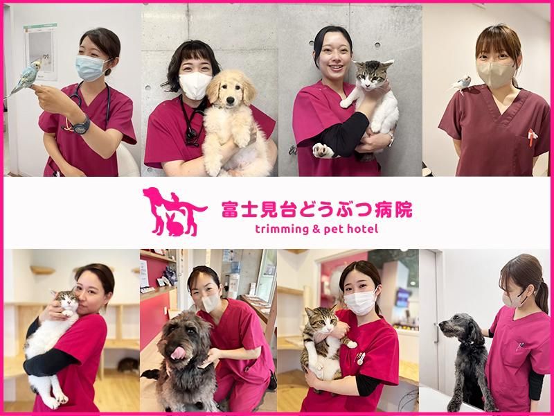 富士見台どうぶつ病院のアルバイト・バイト求人情報-05