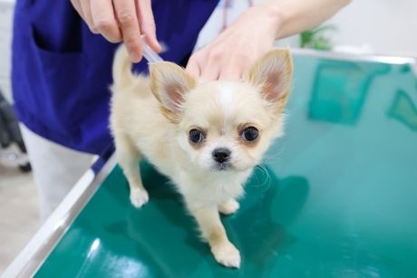 有限会社大浩商事の求人・転職情報