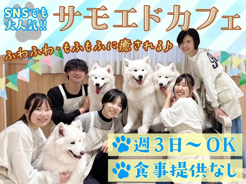 Samoyed cafe AL 芝浦のアルバイト・バイト求人情報-23