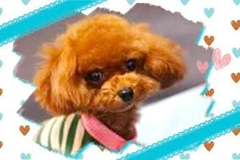 株式会社セシルの求人・転職情報