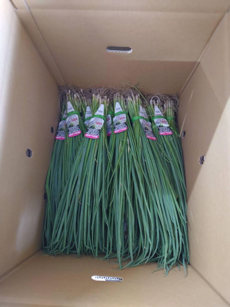 大三ファームのアルバイト・バイト求人情報-05