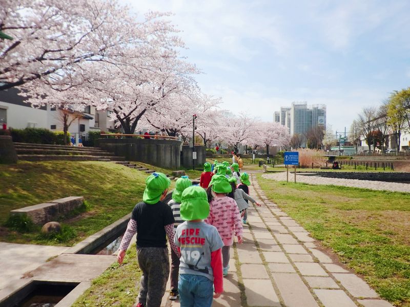 ライクキッズ株式会社の求人・転職情報