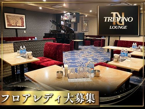 TREVINO LOUNGE~トレビノラウンジ~の派遣求人情報