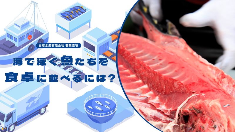 白石水産有限会社の求人・転職情報