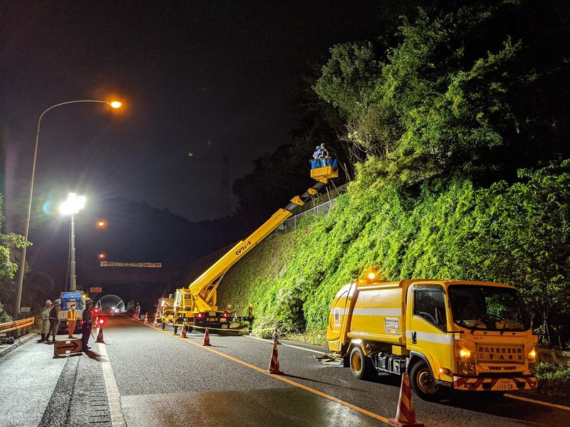 株式会社スペース・グリーンの求人・転職情報