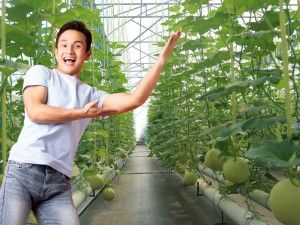 株式会社モリマインドのアルバイト・バイト求人情報-02