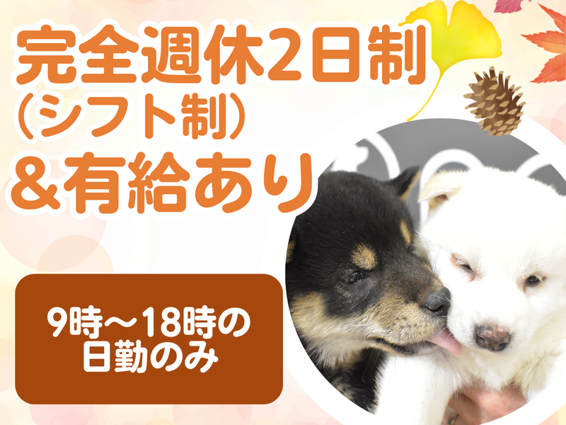 有限会社ワンラブ(本部)のアルバイト・バイト求人情報-03