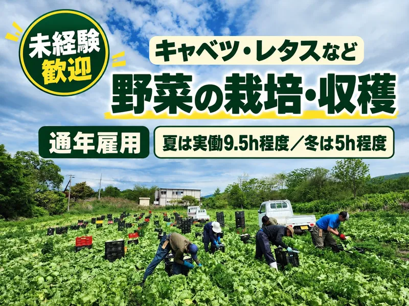 株式会社マルシメおぬきの求人・転職情報