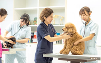 学校法人福岡安達学園　福岡ビジョナリーアーツのアルバイト・バイト求人情報-02