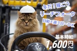 株式会社エイブル・スタッフのアルバイト・バイト求人情報-02