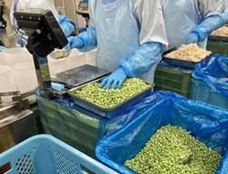 株式会社東洋食彩　習志野工場の求人情報