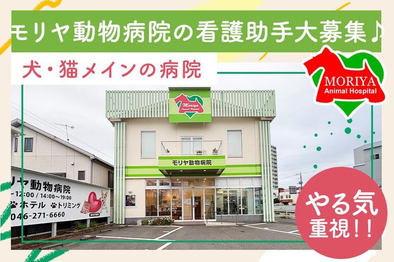 モリヤ動物病院の求人・転職情報