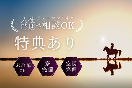 株式会社ヒューマンアイズの求人・転職情報