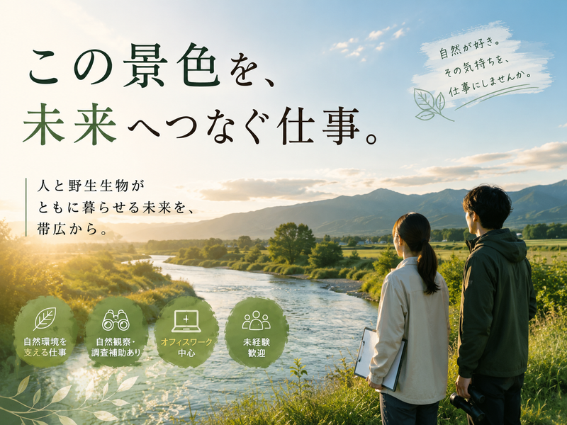 アークコーポレーション株式会社の求人・転職情報