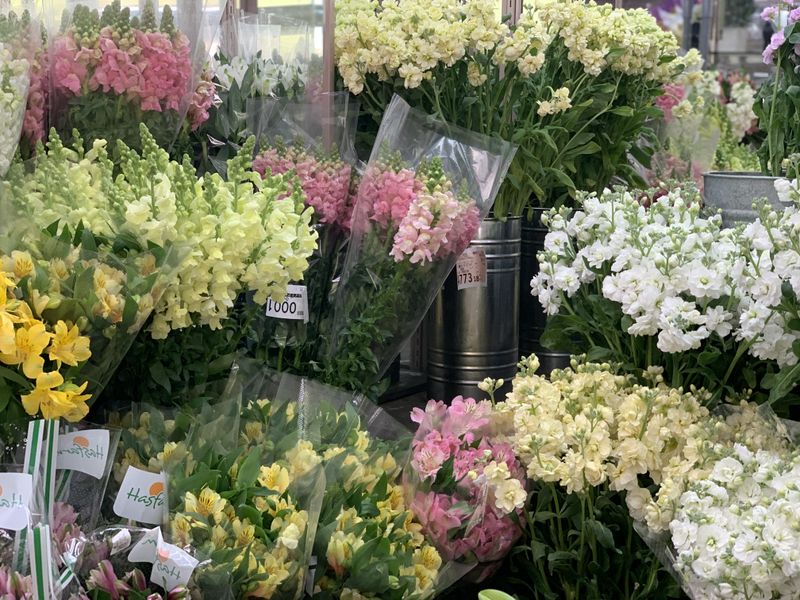 株式会社あさの生花店のアルバイト・バイト求人情報-04