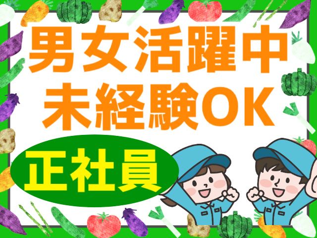 中越通運株式会社 仙台ALCの求人・転職情報