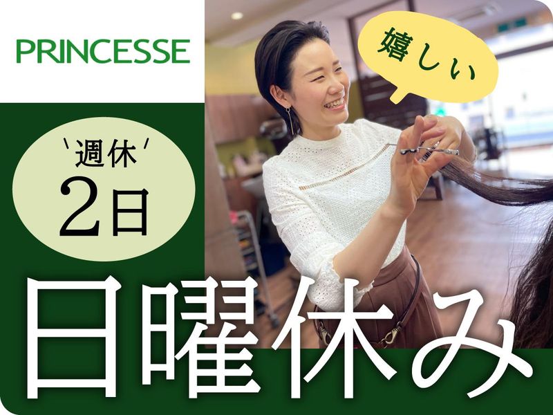 株式会社プランセスの求人・転職情報