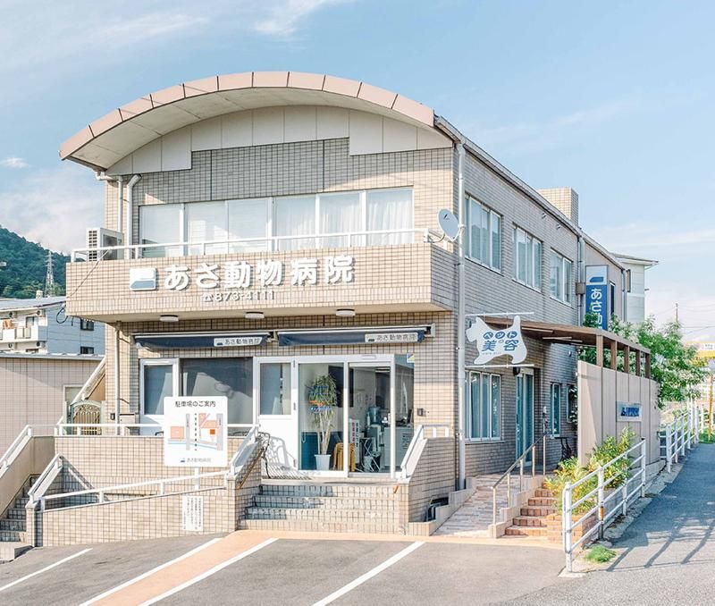 有限会社ASA.A.H.の求人・転職情報