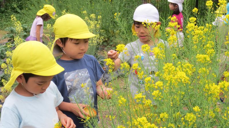 川西共同保育園　本園のアルバイト・バイト求人情報-02