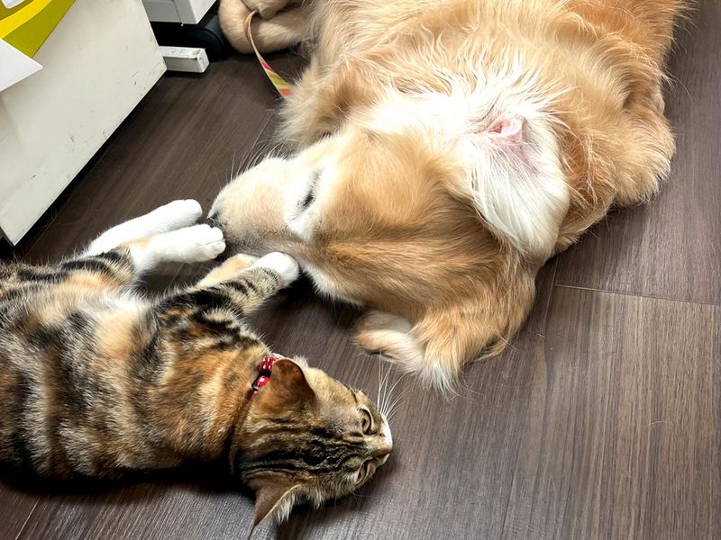 株式会社東輝のアルバイト・バイト求人情報-02