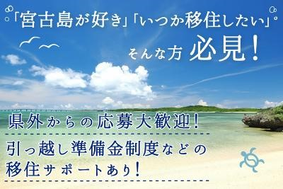 株式会社宮古島の雪塩の求人・転職情報