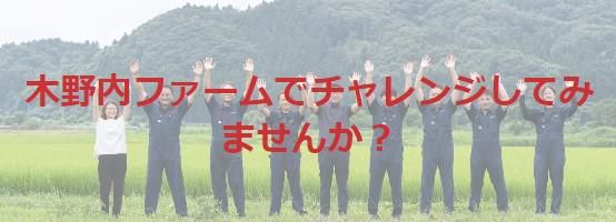 株式会社木野内ファーム　泉崎農場のアルバイト・バイト求人情報-02