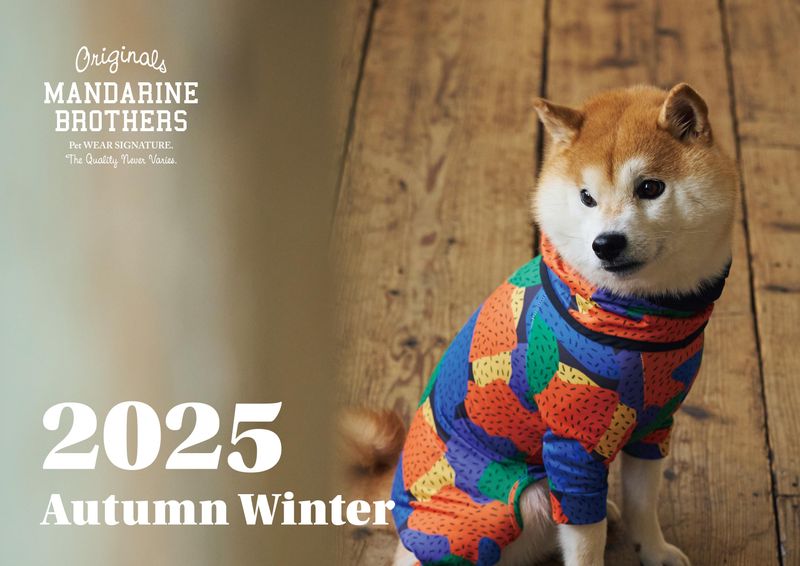 株式会社CHOCOのアルバイト・バイト求人情報-03