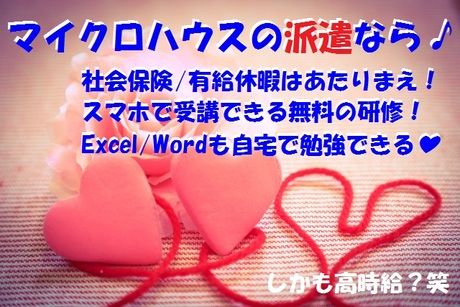 株式会社マイクロスタッフィングサービスの求人5